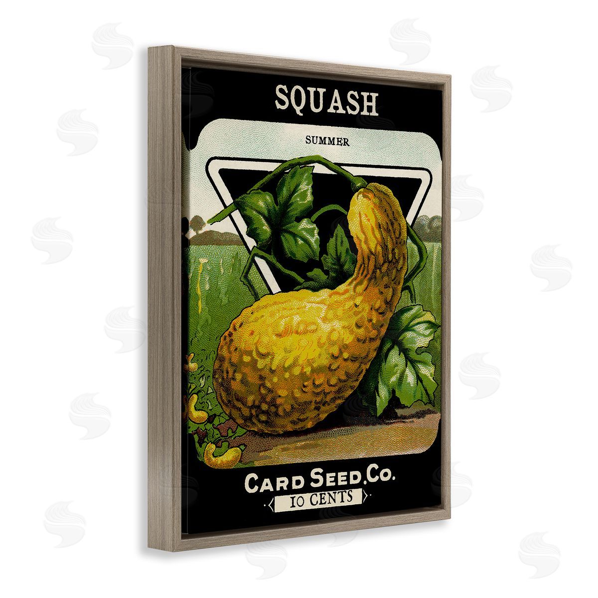 Vintage Garden Squash Brown Floating Frame Canvas Wall Art, Home Decor by Stupell Studio