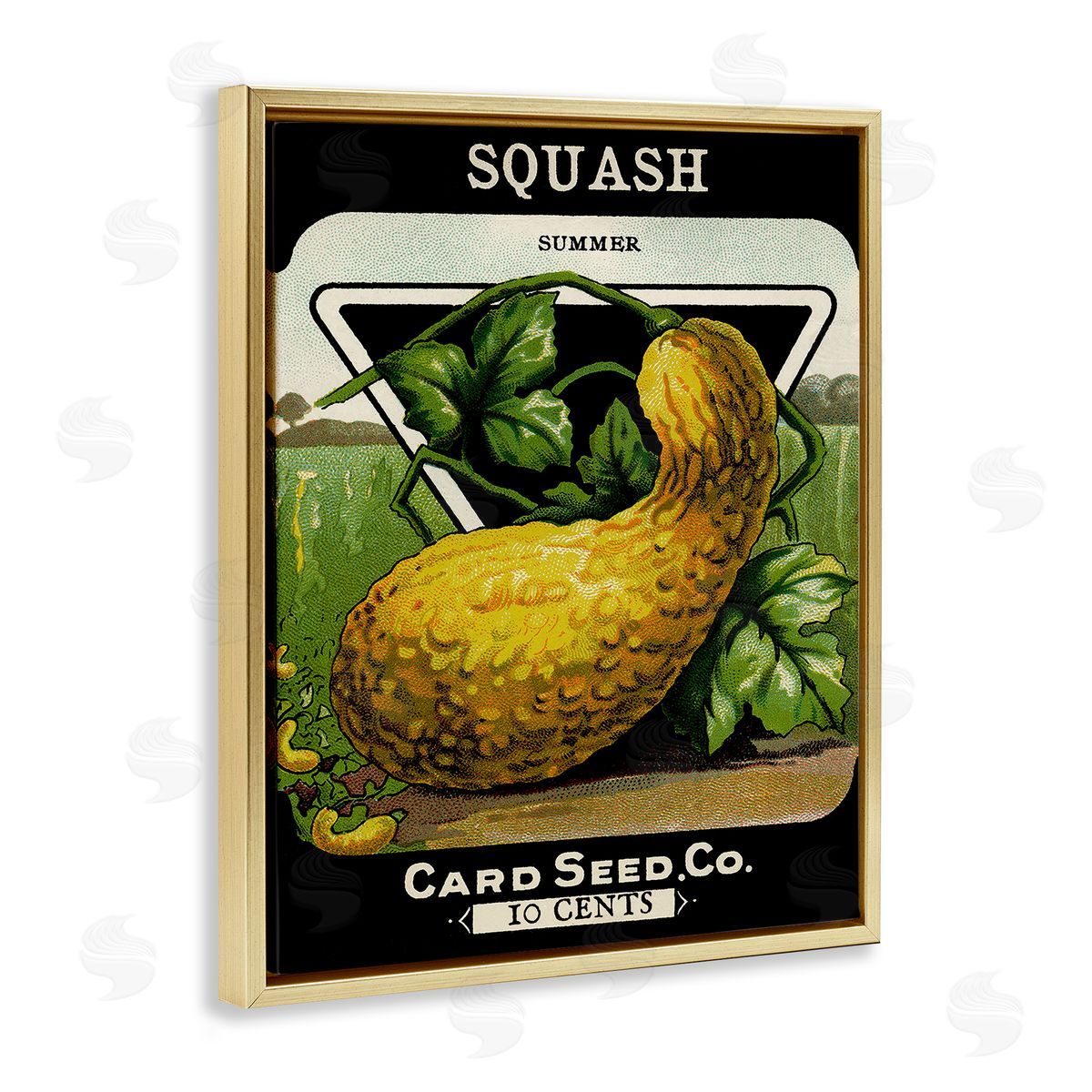 Vintage Garden Squash Gold Floating Frame Canvas Wall Art, Home Decor by Stupell Studio