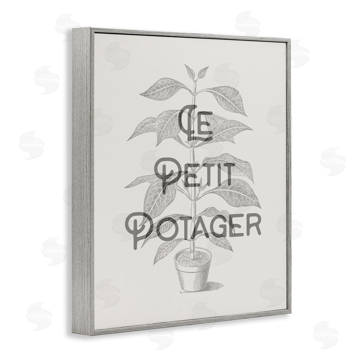 Vintage French Plant Phrase Grey Frame Print Wall Art, Home Decor by Stupell Studio