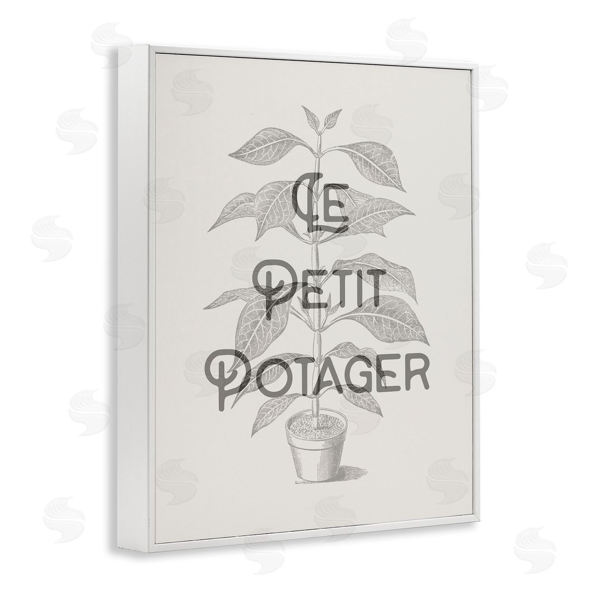 Vintage French Plant Phrase White Frame Print Wall Art, Home Decor by Stupell Studio