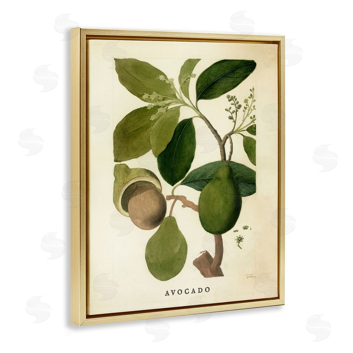 Vintage Avocado Plant Gold Floating Frame Canvas Wall Art, Home Decor by Stupell Studio
