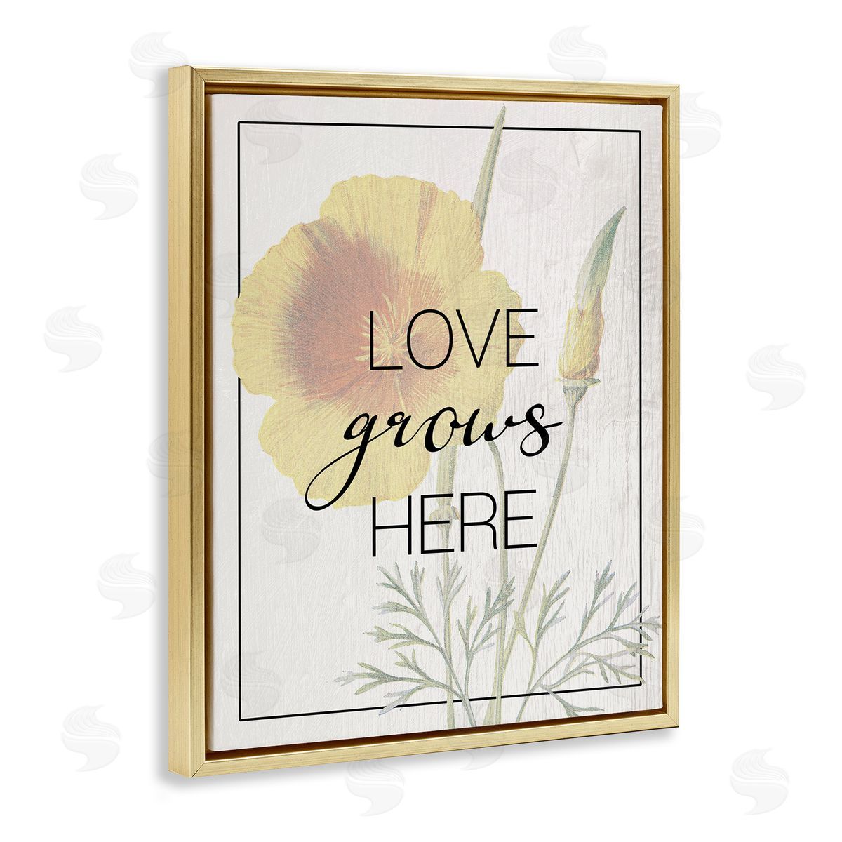 Vintage Love Grows Here Gold Floating Frame Canvas Wall Art, Home Decor by Stupell Studio