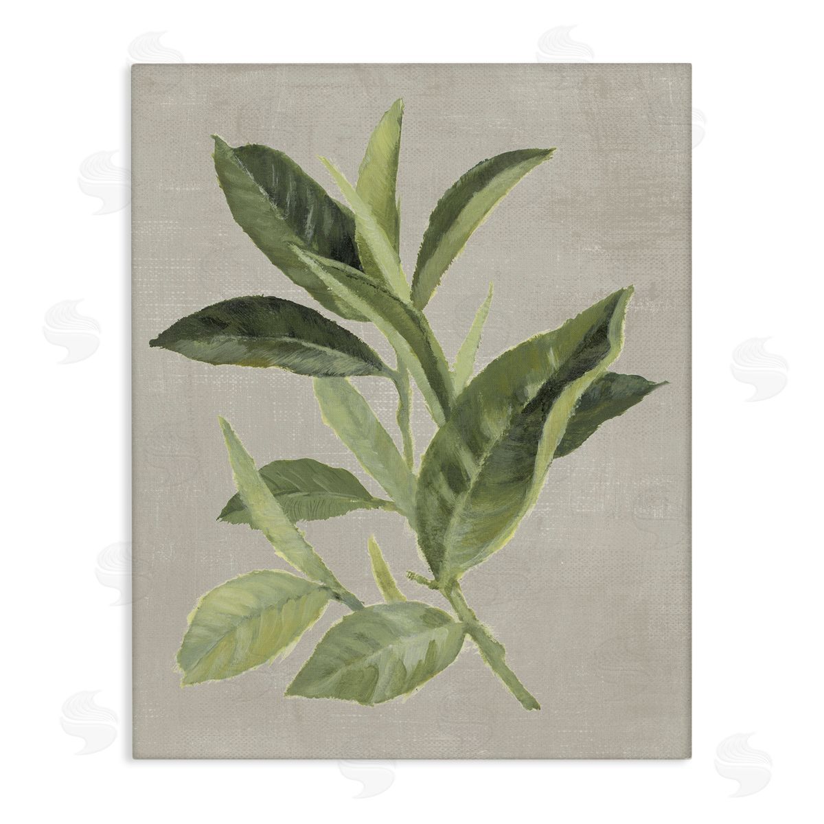 Green Tea Plant Leaf Canvas Wall Art, Home Decor by Lanie Loreth