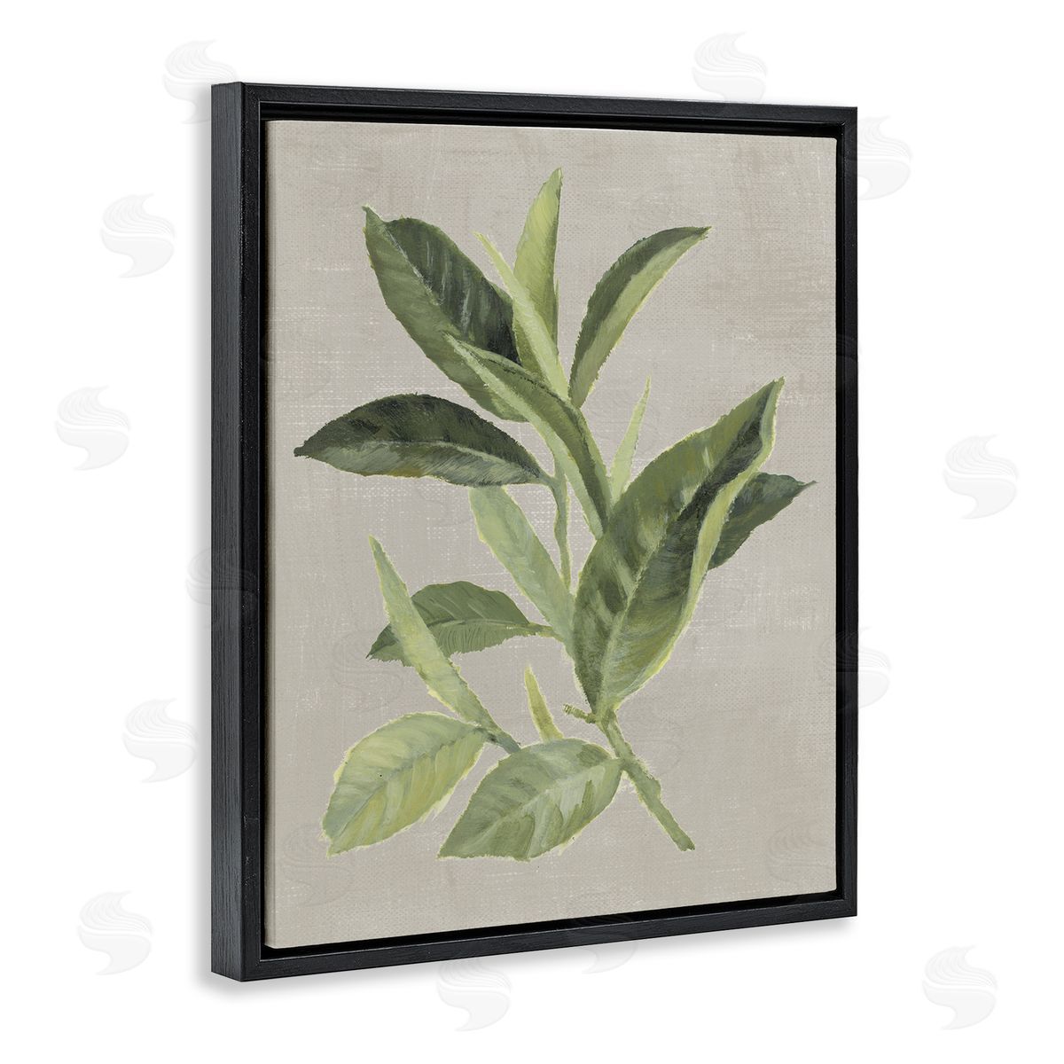 Green Tea Plant Leaf Black Floating Frame Canvas Wall Art, Home Decor by Lanie Loreth