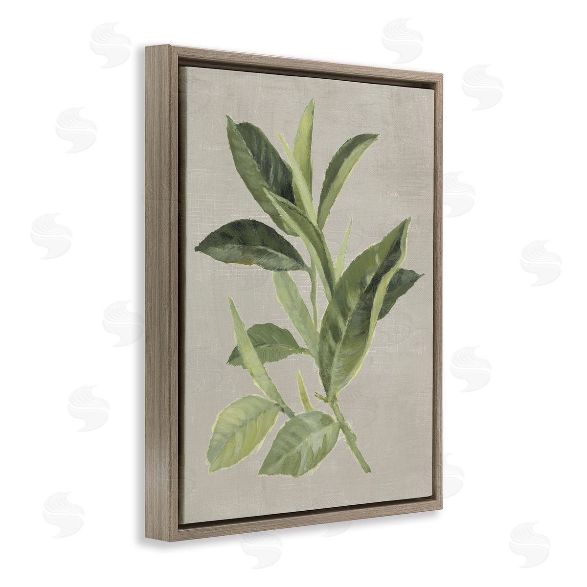Green Tea Plant Leaf Brown Floating Frame Canvas Wall Art, Home Decor by Lanie Loreth