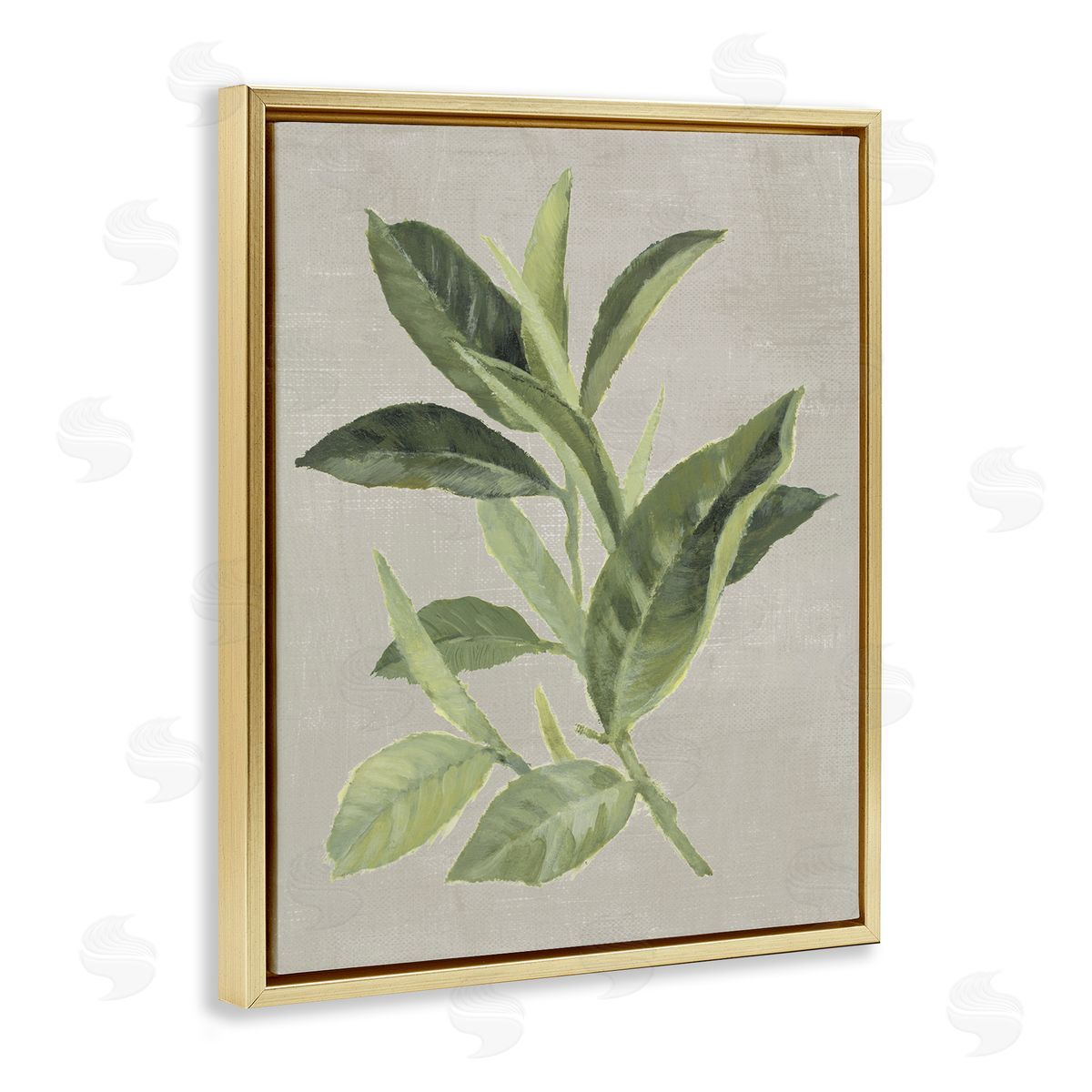 Green Tea Plant Leaf Gold Floating Frame Canvas Wall Art, Home Decor by Lanie Loreth