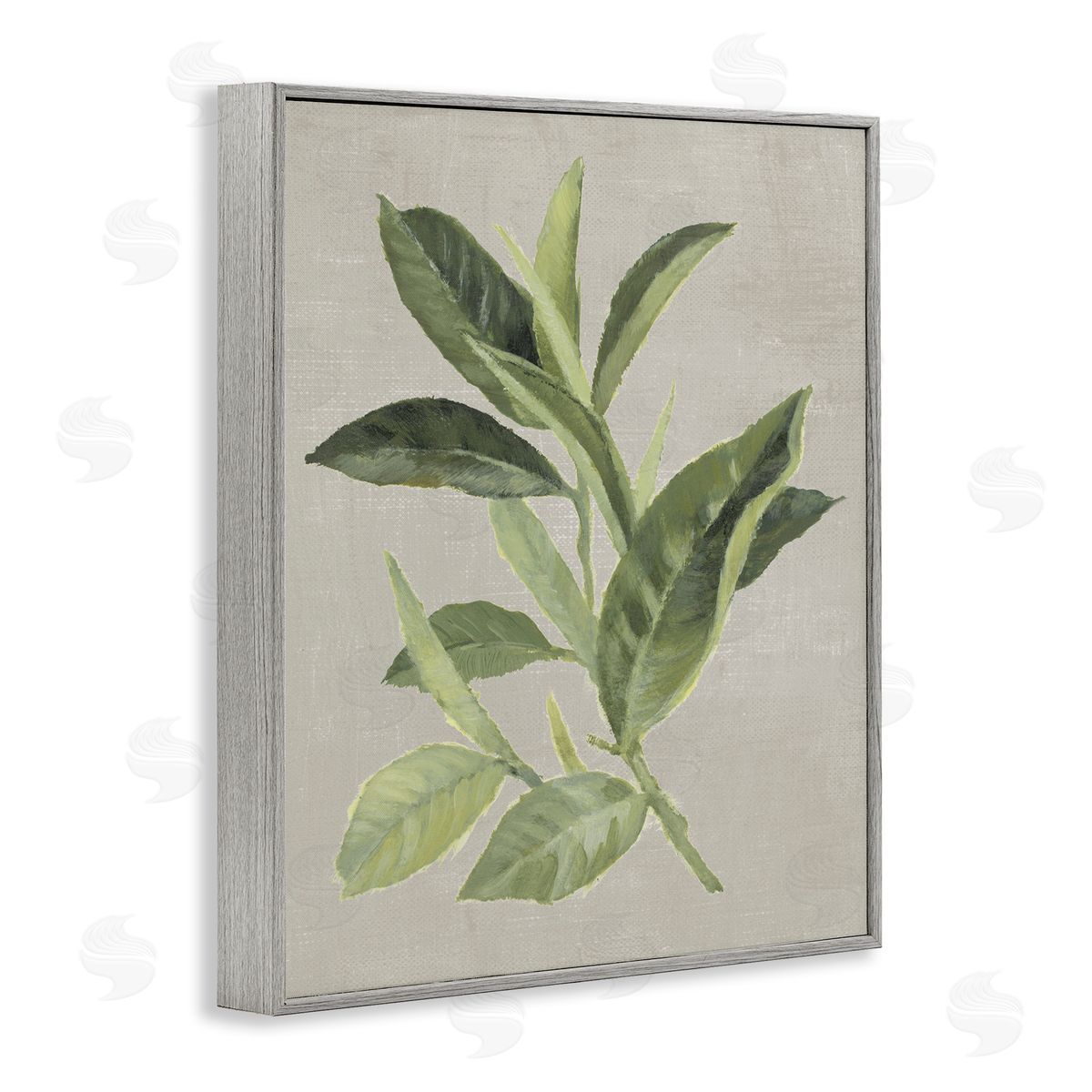 Green Tea Plant Leaf Grey Frame Print Wall Art, Home Decor by Lanie Loreth