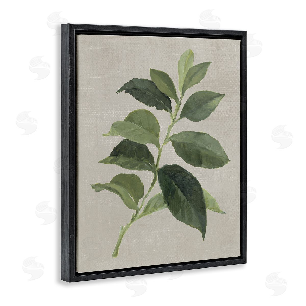 Arabica Coffee Plant Leaf Black Floating Frame Canvas Wall Art, Home Decor by Lanie Loreth