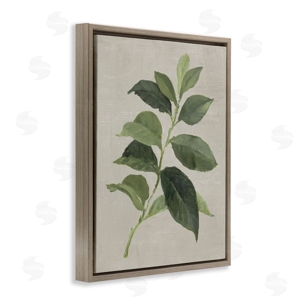 Arabica Coffee Plant Leaf Brown Floating Frame Canvas Wall Art, Home Decor by Lanie Loreth