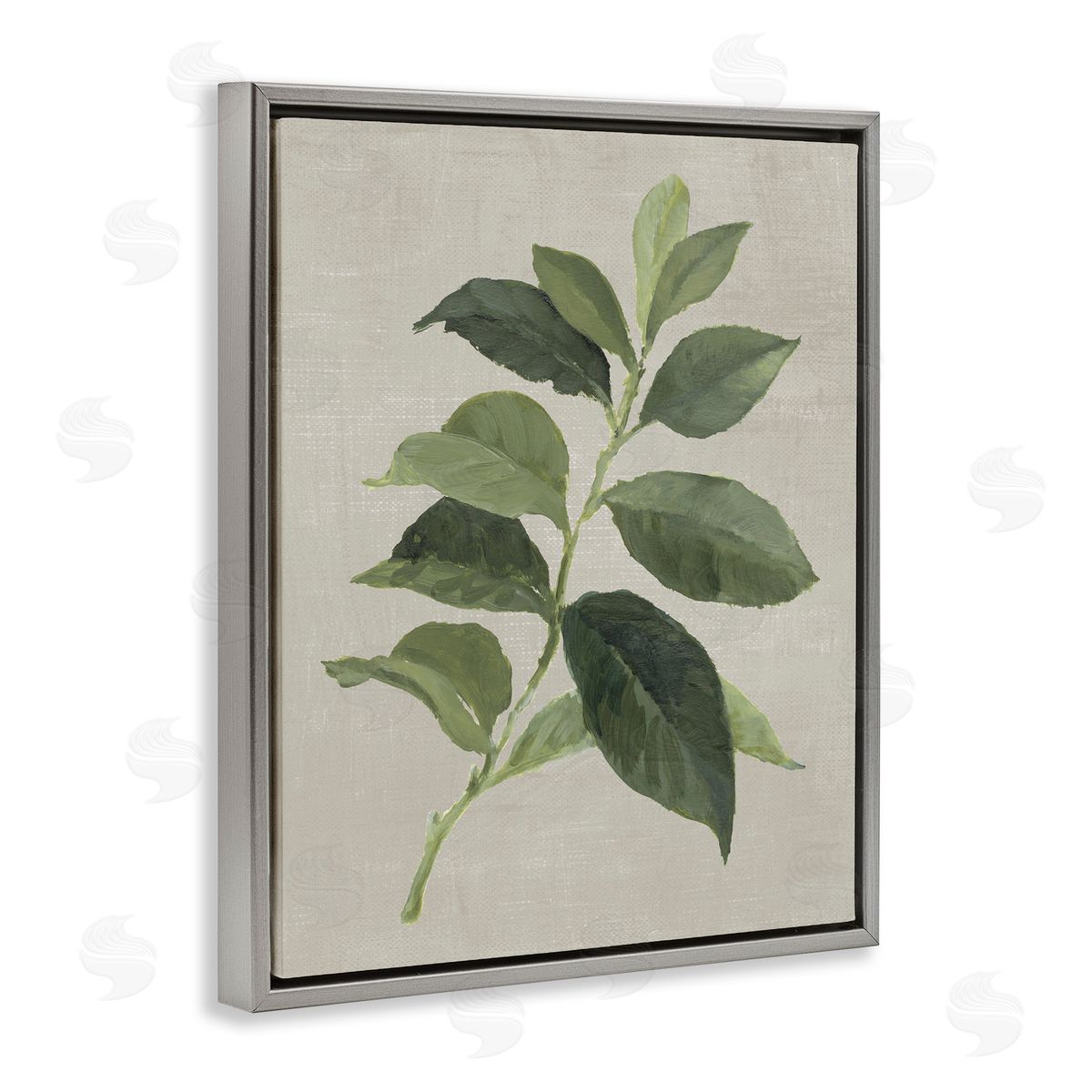 Arabica Coffee Plant Leaf Grey Floating Frame Canvas Wall Art, Home Decor by Lanie Loreth