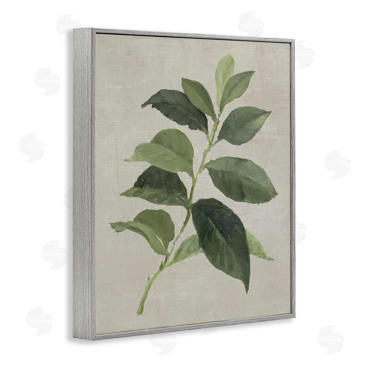 Arabica Coffee Plant Leaf Grey Frame Print Wall Art, Home Decor by Lanie Loreth