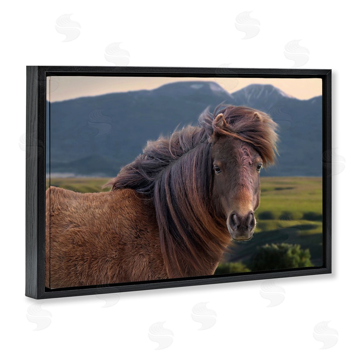 Windblown Mare in Mountain Valley Black Floating Frame Canvas Wall Art, Home Decor by Steve Toole