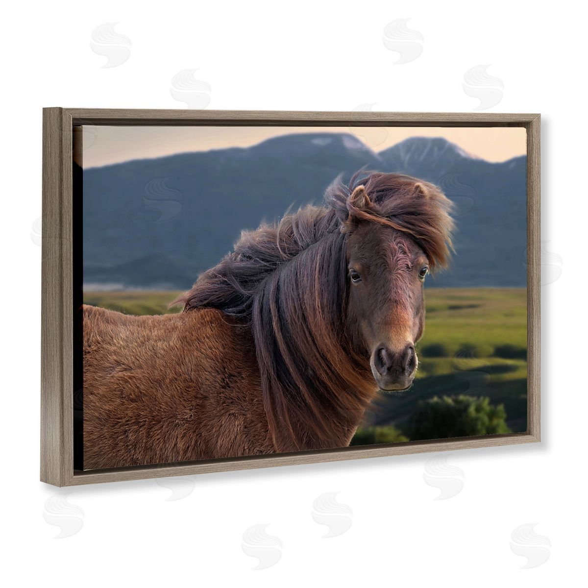 Windblown Mare in Mountain Valley Brown Floating Frame Canvas Wall Art, Home Decor by Steve Toole