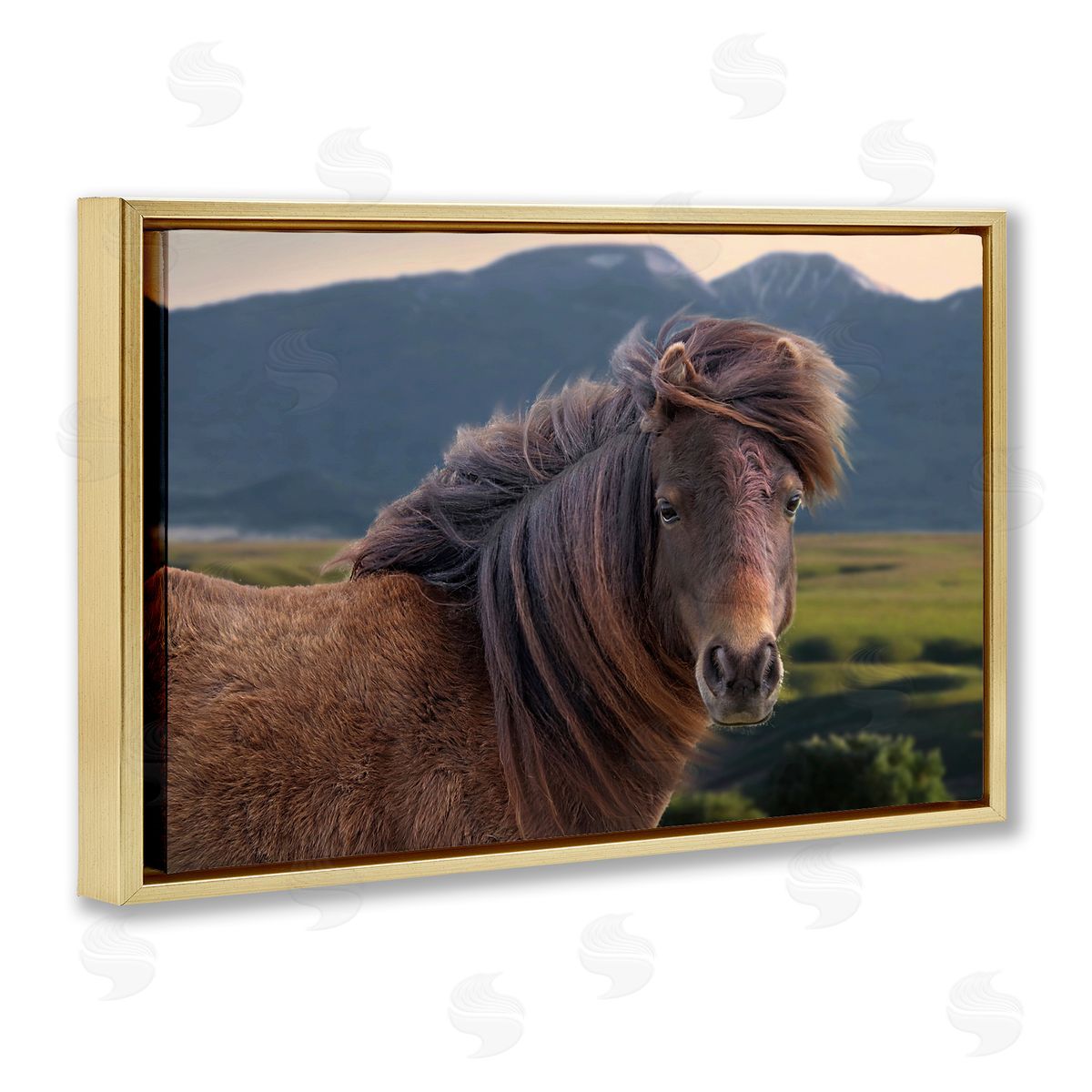 Windblown Mare in Mountain Valley Gold Floating Frame Canvas Wall Art, Home Decor by Steve Toole