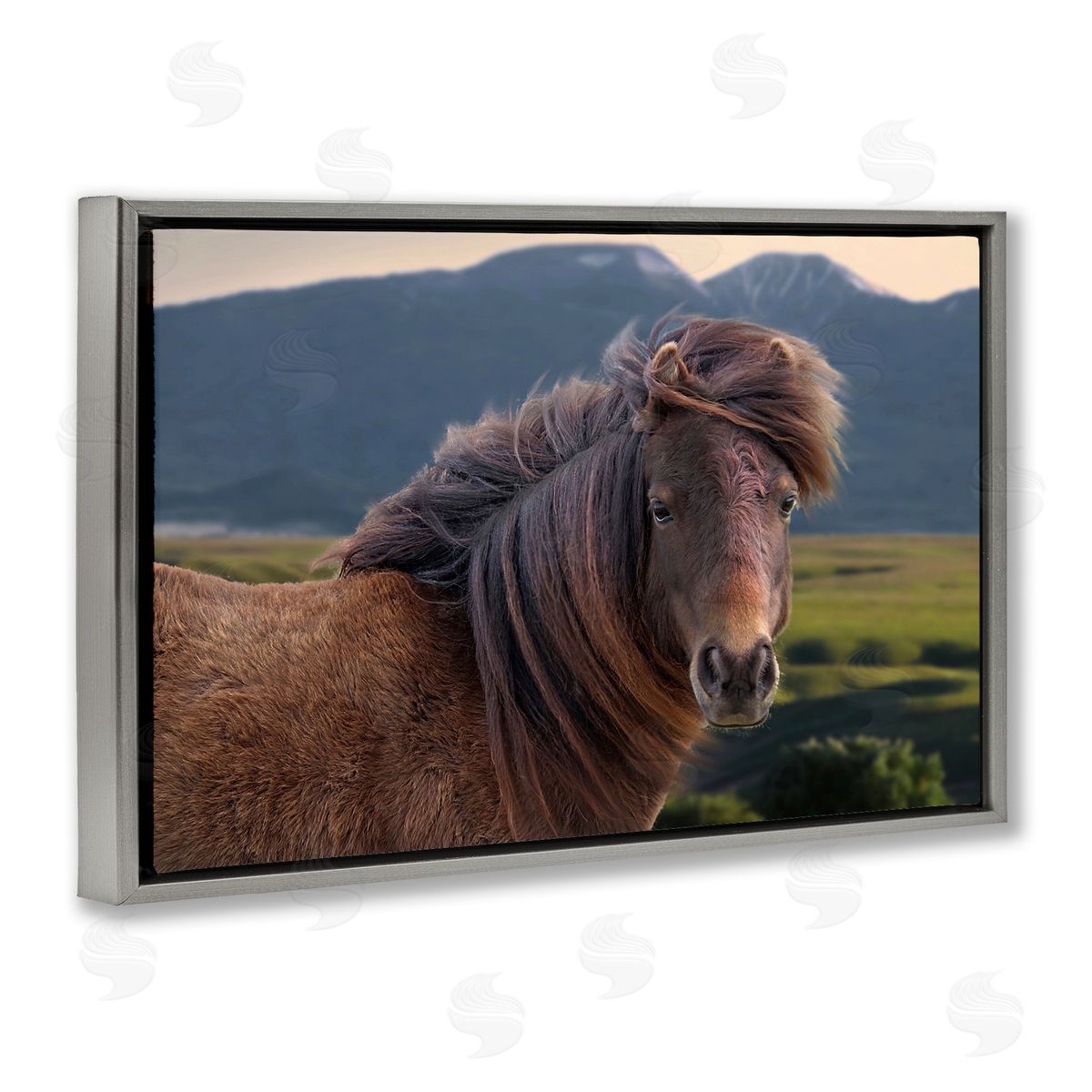 Windblown Mare in Mountain Valley Grey Floating Frame Canvas Wall Art, Home Decor by Steve Toole