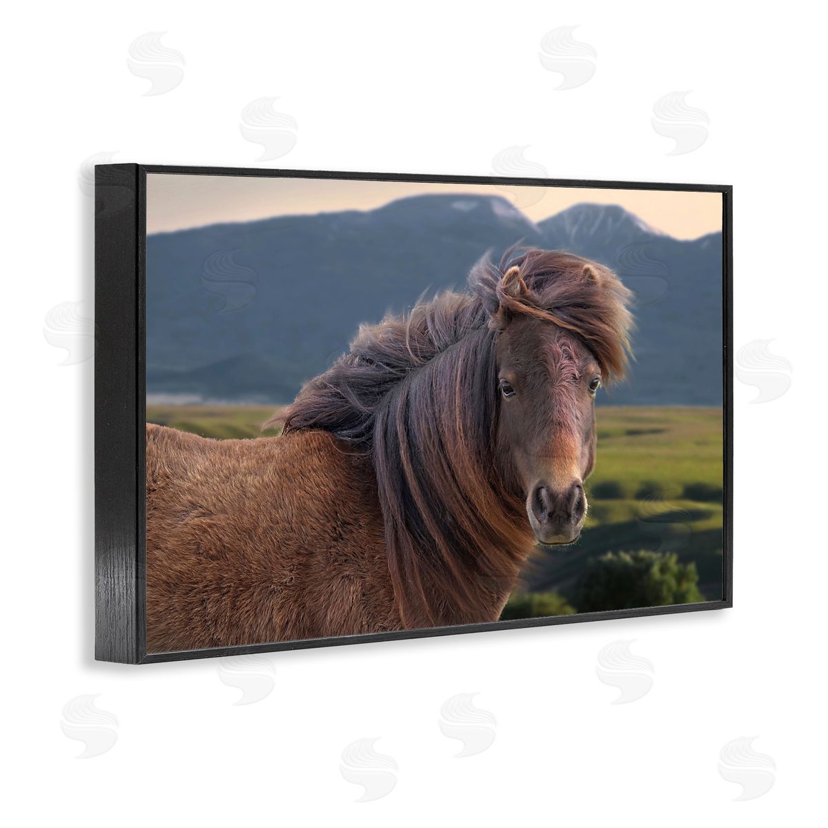 Windblown Mare in Mountain Valley Black Frame Print Wall Art, Home Decor by Steve Toole