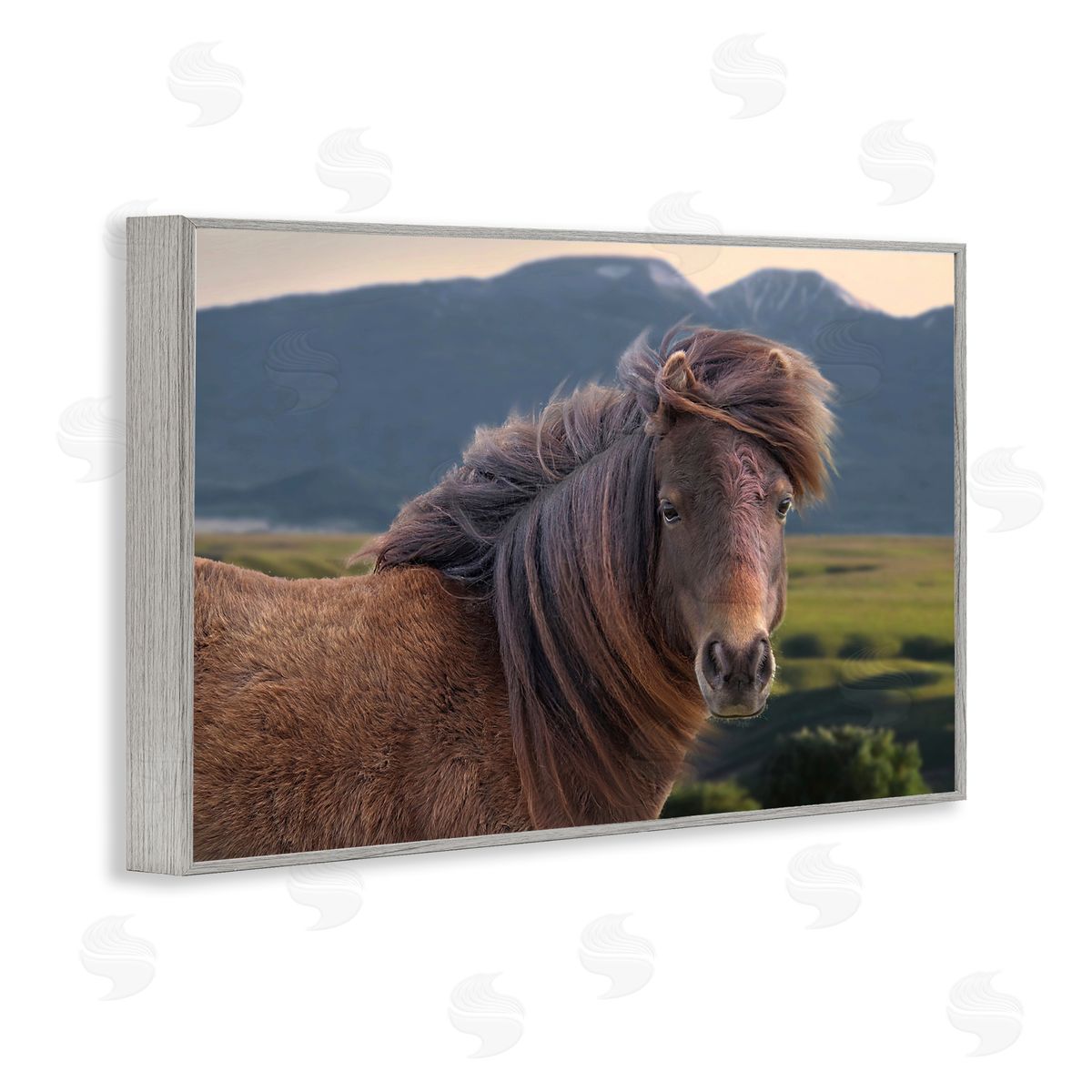 Windblown Mare in Mountain Valley Grey Frame Print Wall Art, Home Decor by Steve Toole