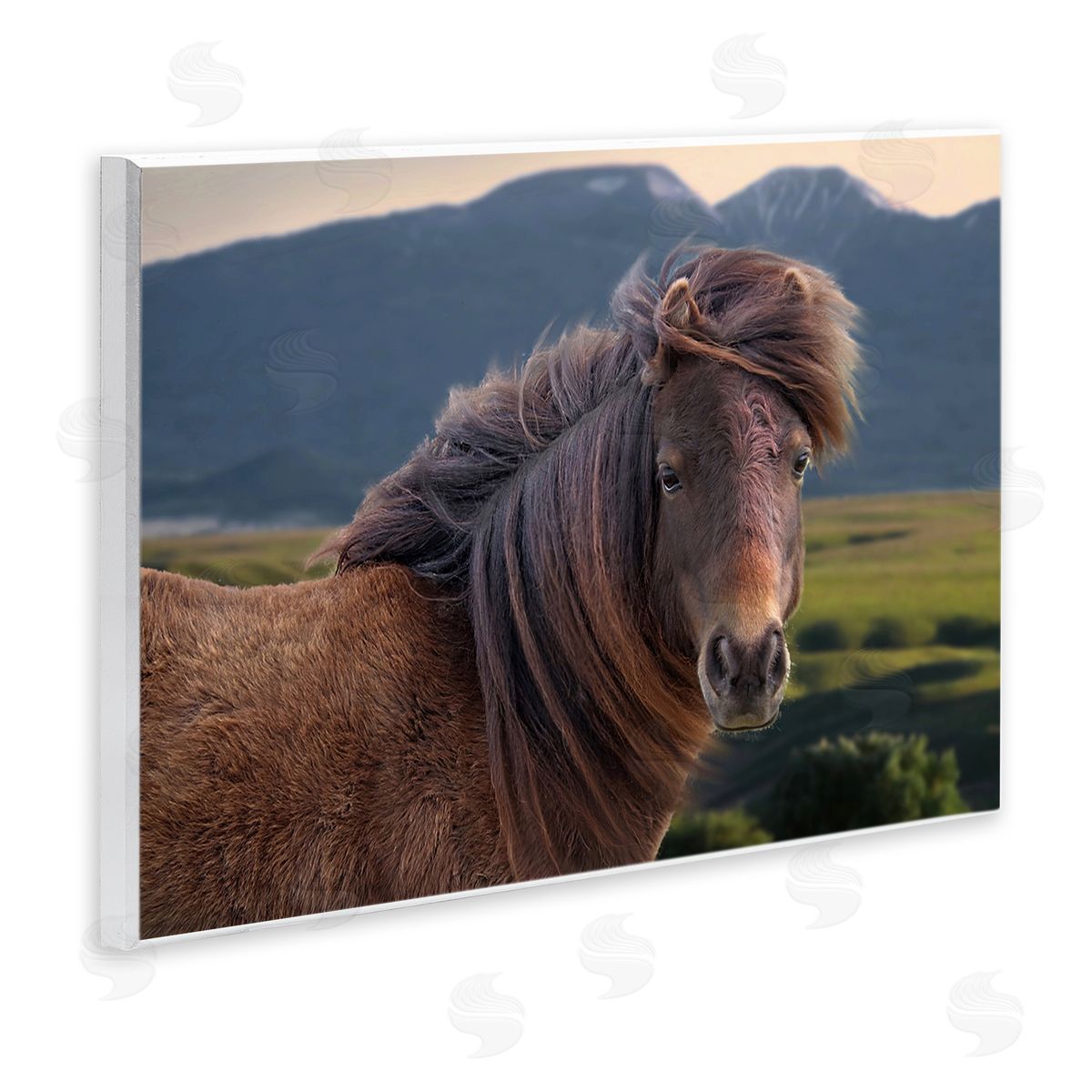 Windblown Mare in Mountain Valley Wood Plaque Wall Art, Home Decor by Steve Toole