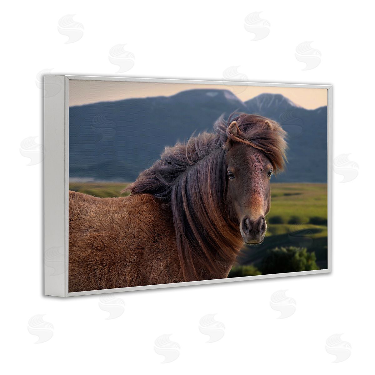 Windblown Mare in Mountain Valley White Frame Print Wall Art, Home Decor by Steve Toole