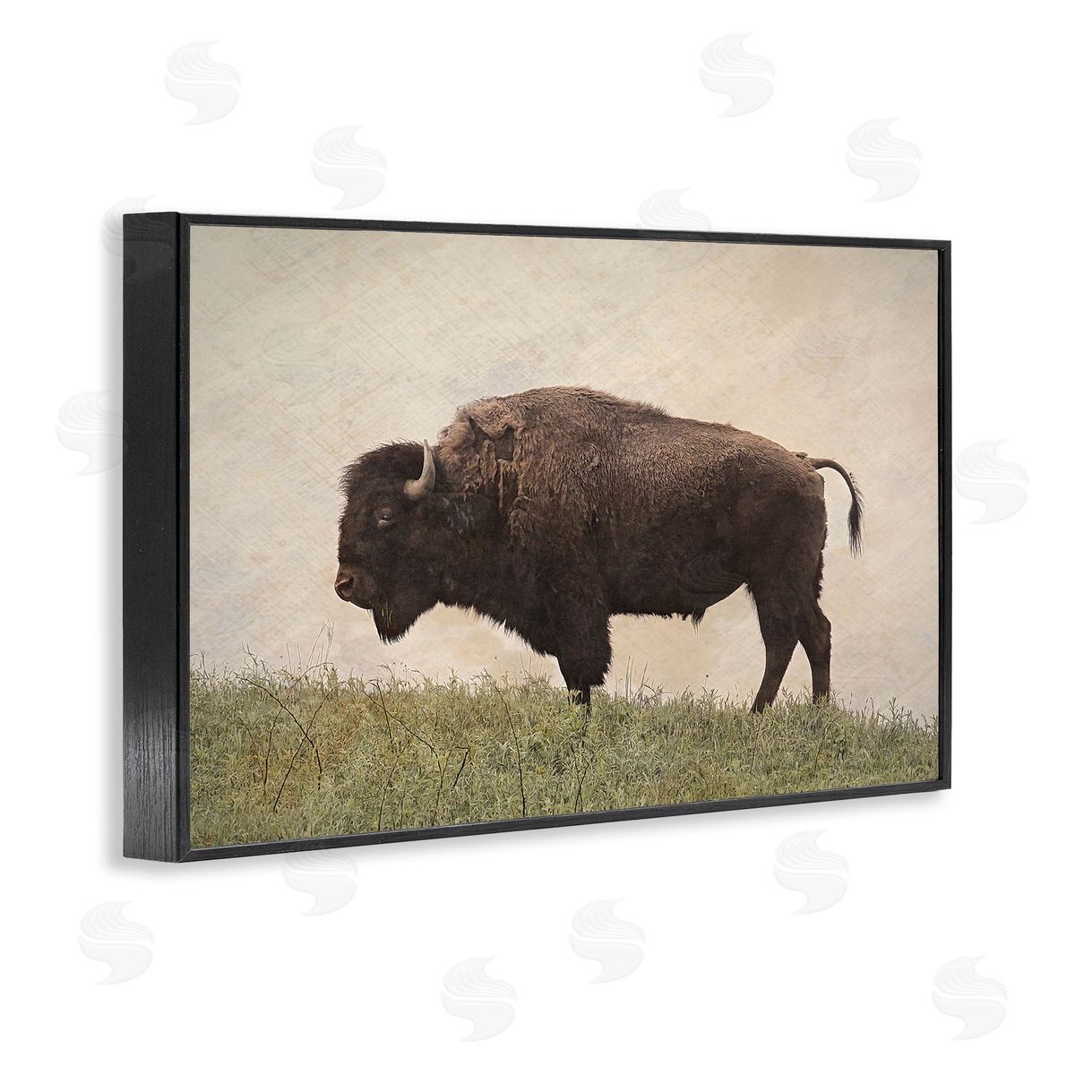 Serene Buffalo on Country Hill Black Frame Print Wall Art, Home Decor by Steve Toole