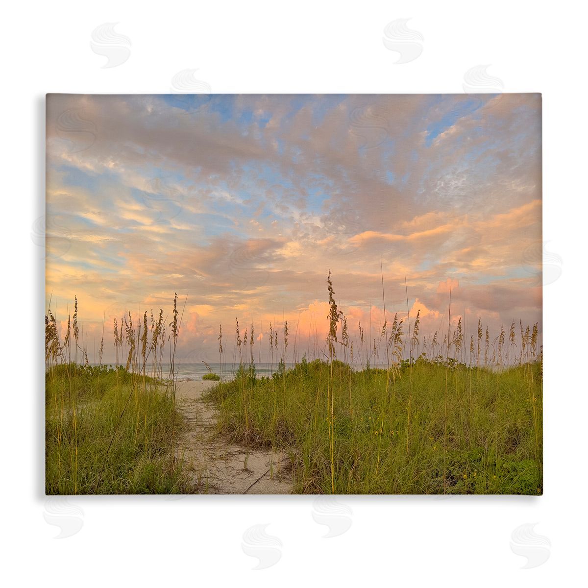 Serene Coastal Path Grasses Canvas Wall Art, Home Decor by Mary Lou Johnson