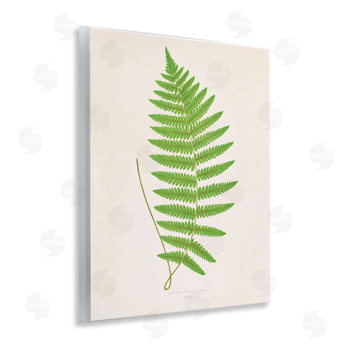 Single Fern Branch Wood Plaque Wall Art, Home Decor by Phillipa Katz