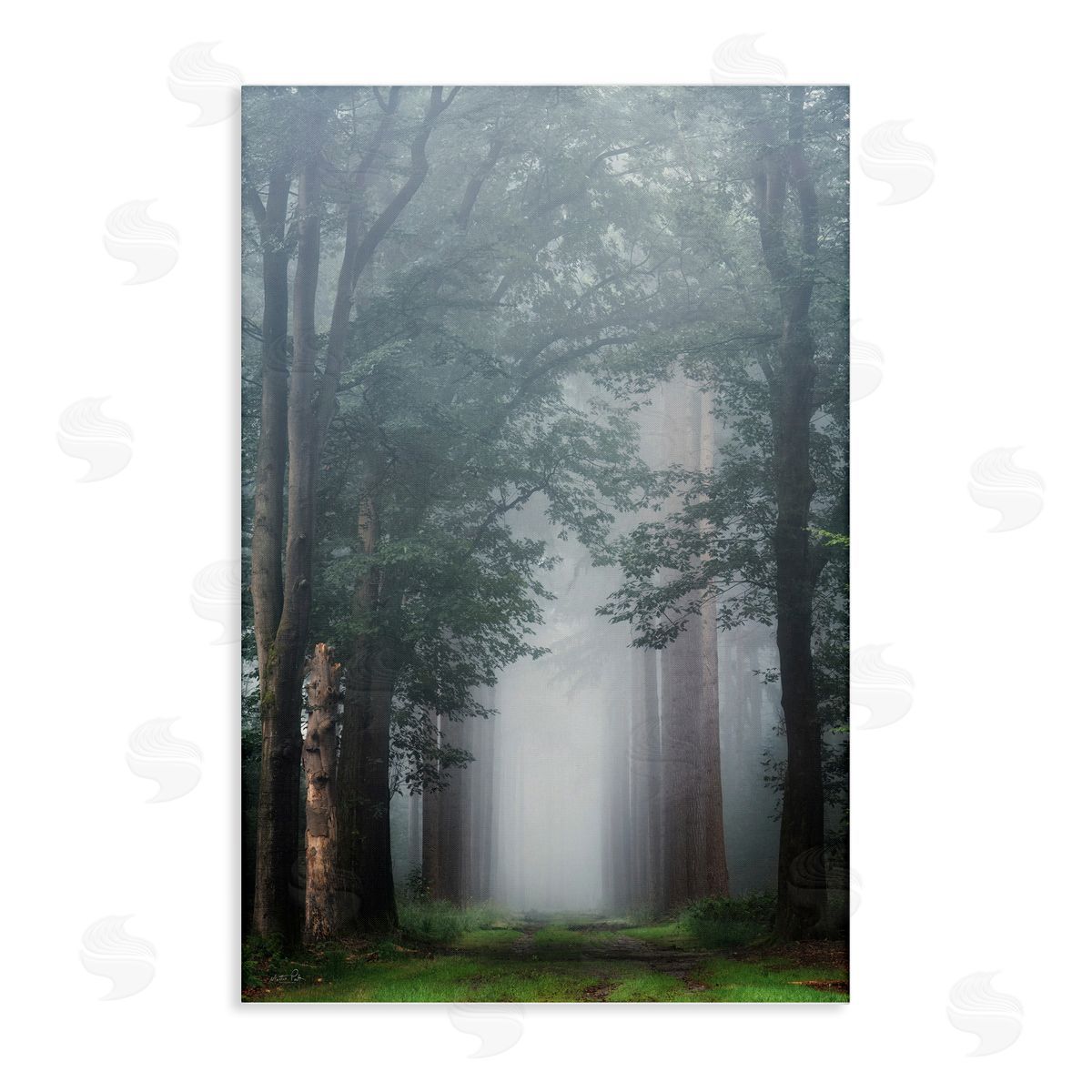 Calm Forest Clearing Canvas Wall Art, Home Decor by Martin Podt
