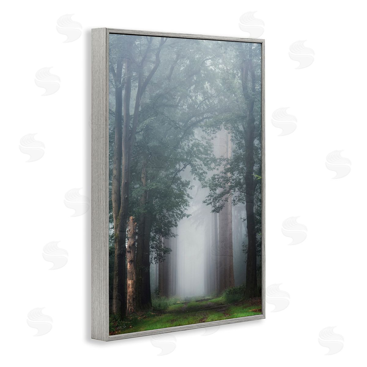 Calm Forest Clearing Grey Frame Print Wall Art, Home Decor by Martin Podt