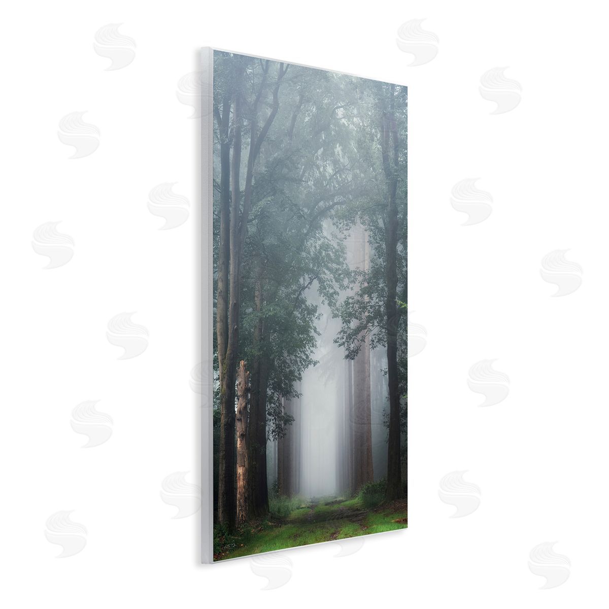 Calm Forest Clearing Wood Plaque Wall Art, Home Decor by Martin Podt