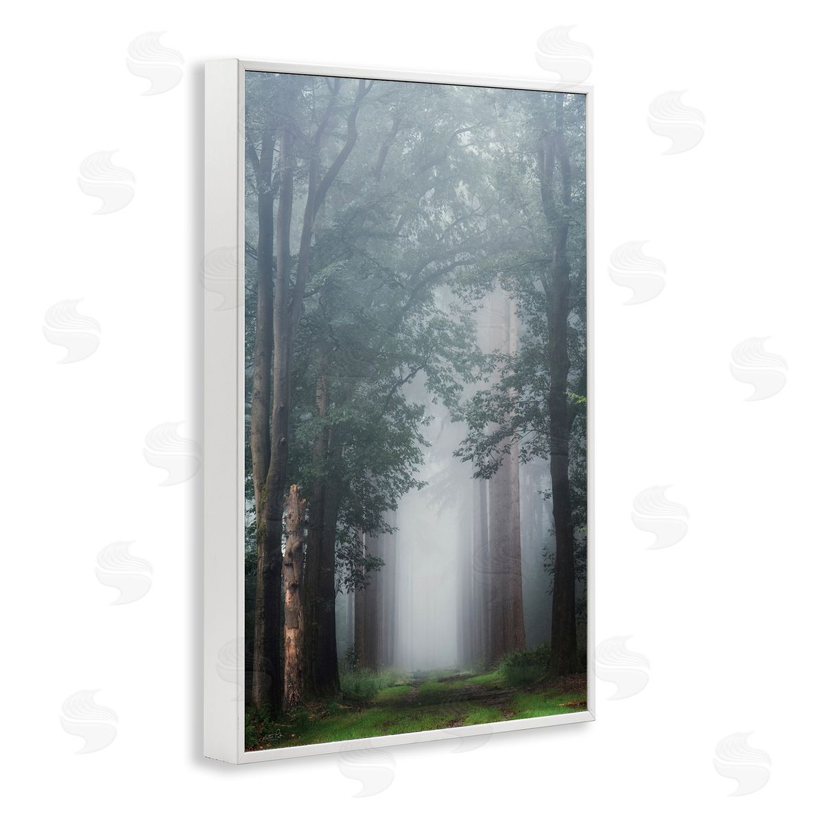 Calm Forest Clearing White Frame Print Wall Art, Home Decor by Martin Podt