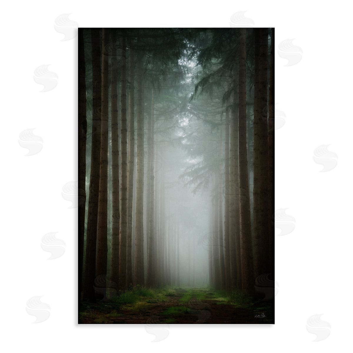 Moonlight Through Dark Forest Canvas Wall Art, Home Decor by Martin Podt