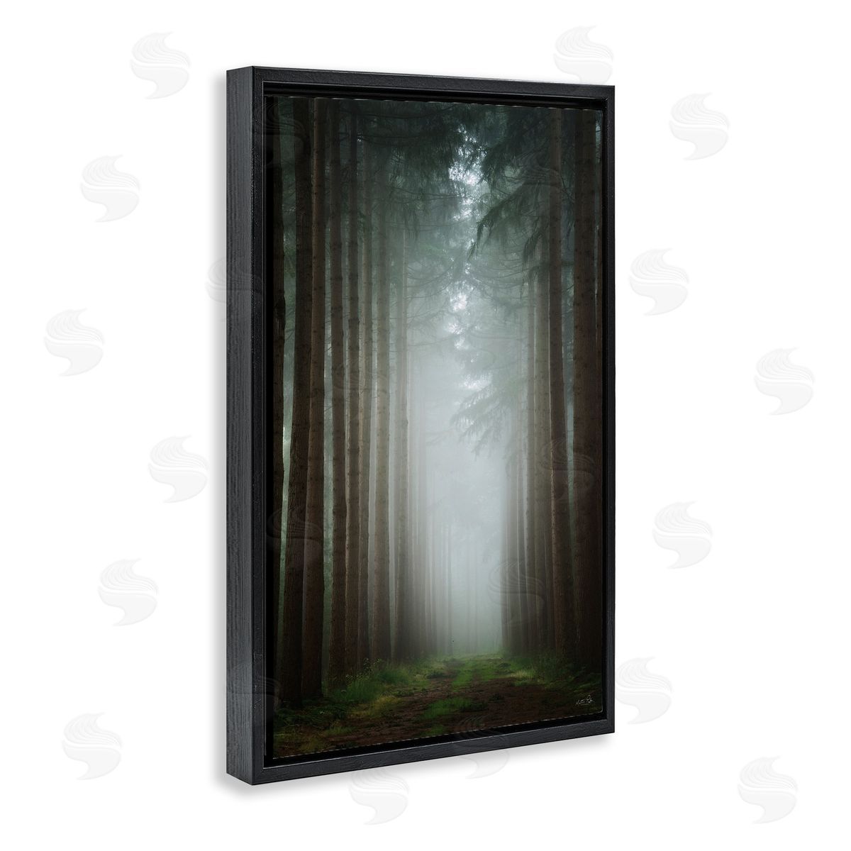 Moonlight Through Dark Forest Black Floating Frame Canvas Wall Art, Home Decor by Martin Podt