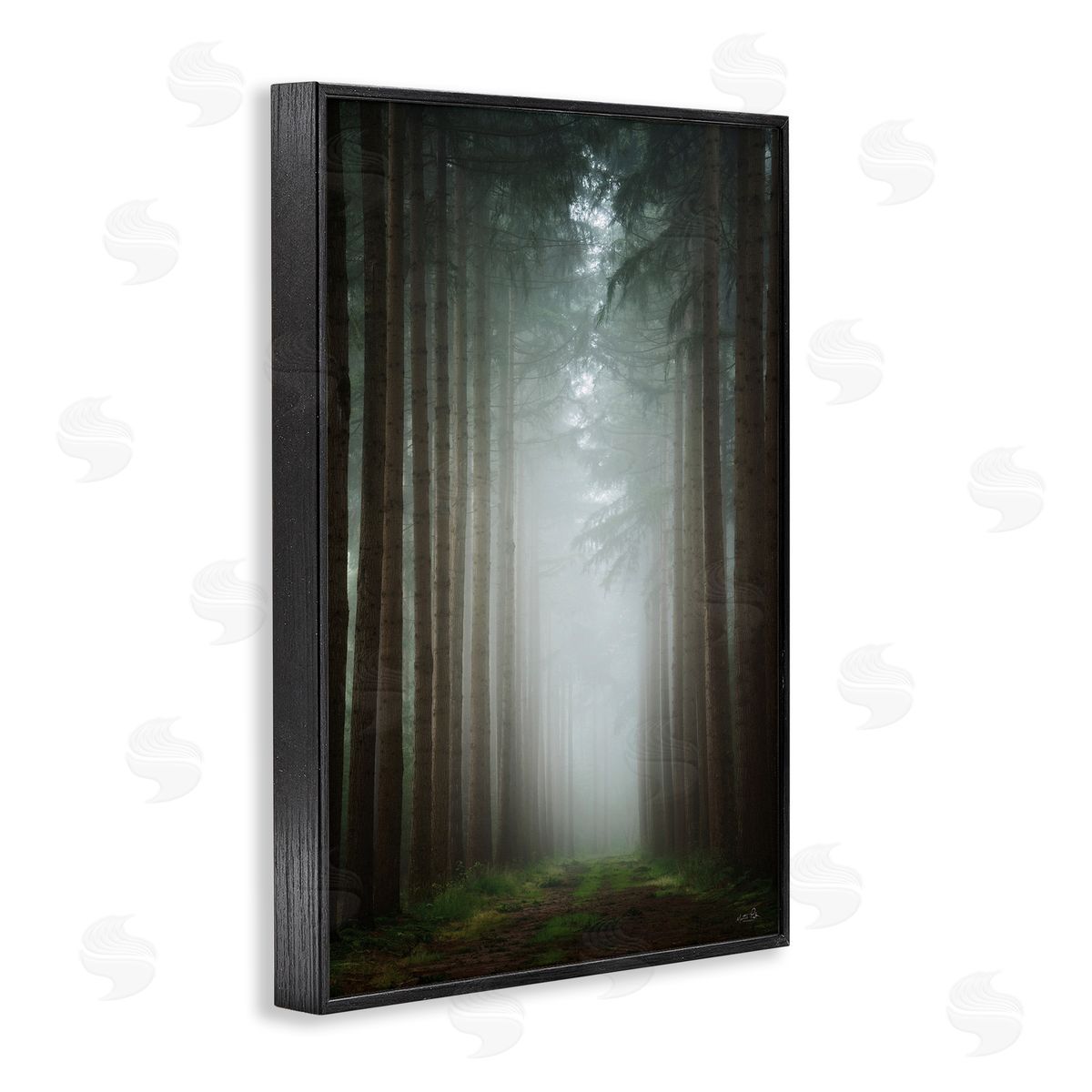 Moonlight Through Dark Forest Black Frame Print Wall Art, Home Decor by Martin Podt