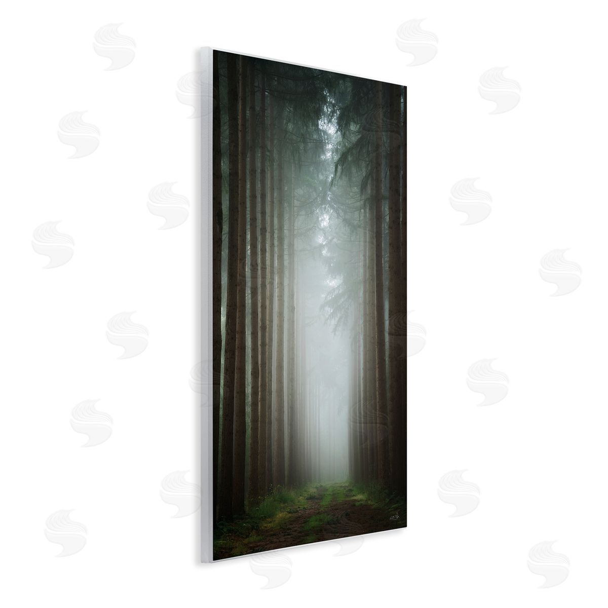 Moonlight Through Dark Forest Wood Plaque Wall Art, Home Decor by Martin Podt