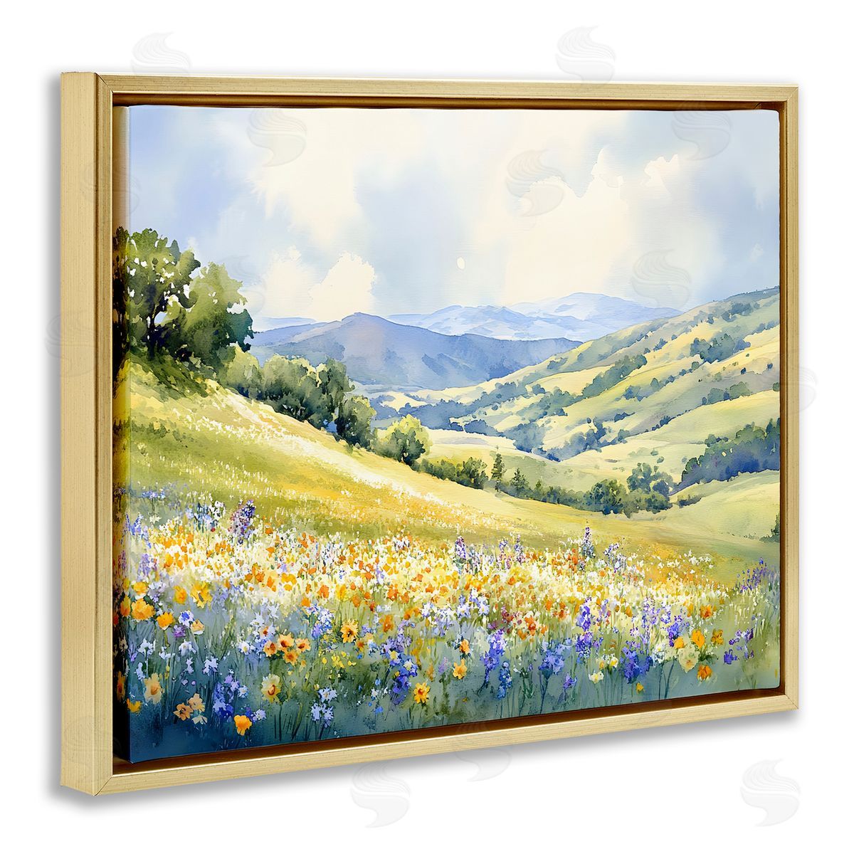 Spring Meadow with Distant Mountain Gold Floating Frame Canvas Wall Art, Home Decor by Franklyn Gregory