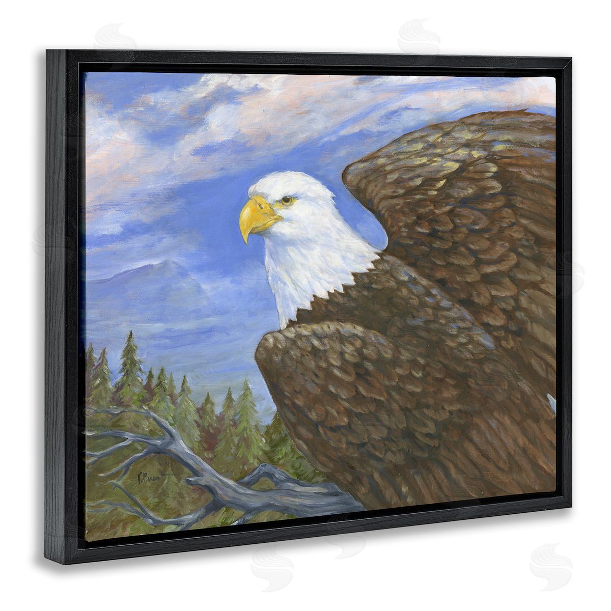 Eagle Overlook from Tree Top Black Floating Frame Canvas Wall Art, Home Decor by Paul Brent