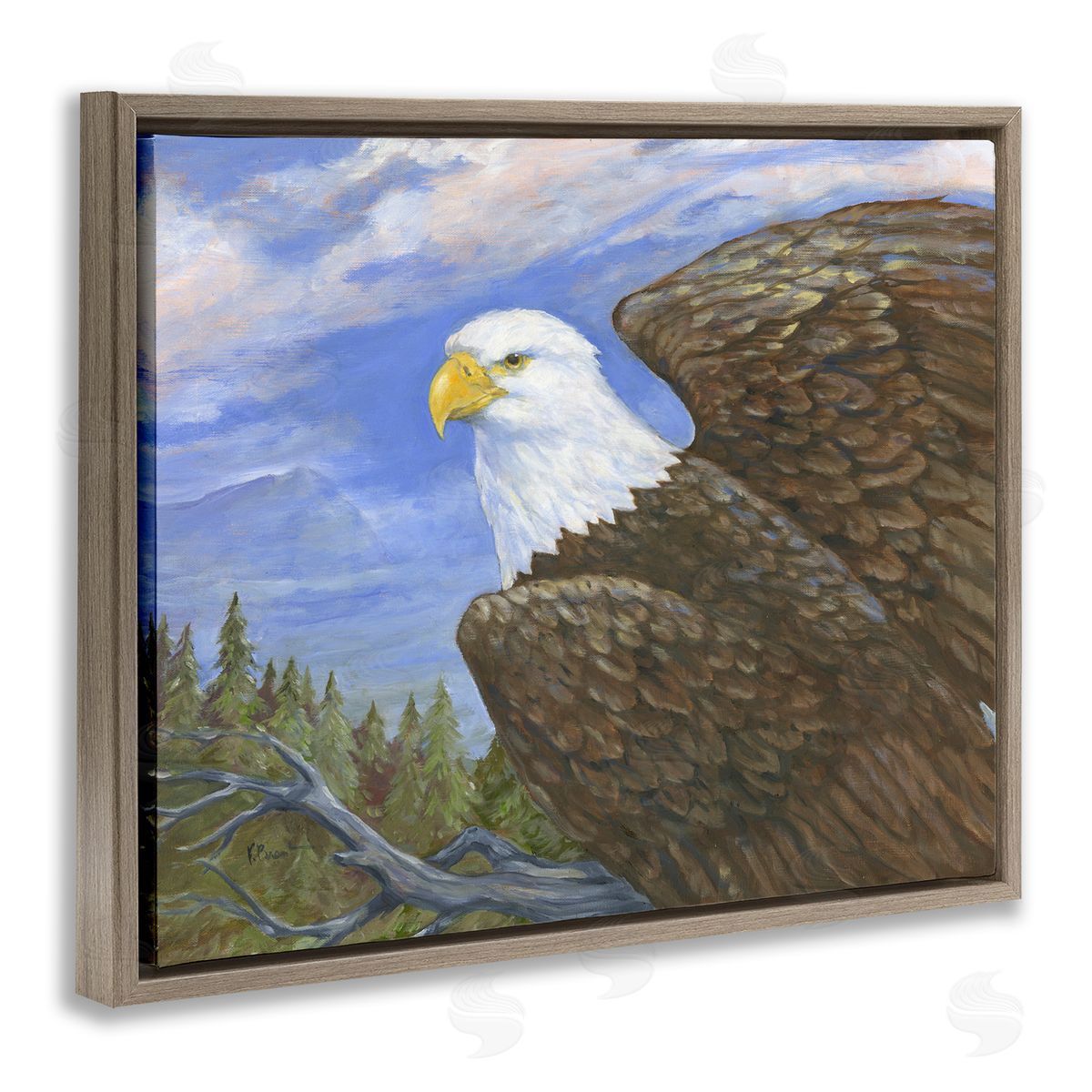 Eagle Overlook from Tree Top Brown Floating Frame Canvas Wall Art, Home Decor by Paul Brent