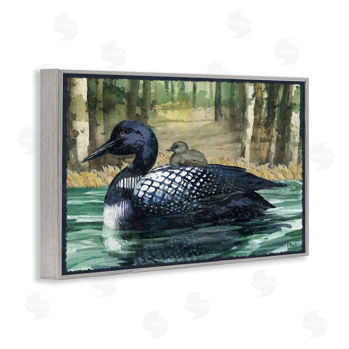 Loon with Baby on Lake Grey Frame Print Wall Art, Home Decor by Paul Brent