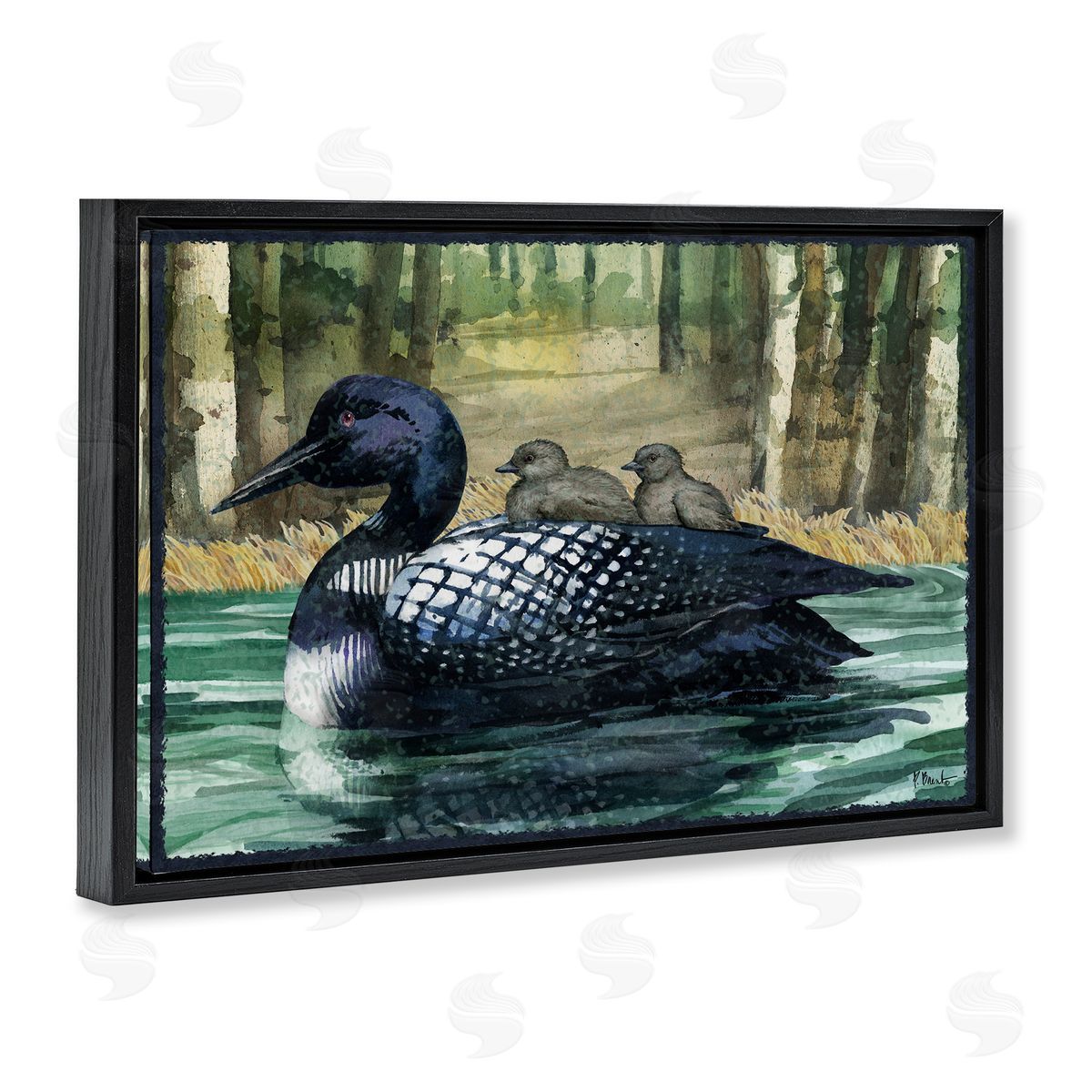 Loon Family on Lake Black Floating Frame Canvas Wall Art, Home Decor by Paul Brent