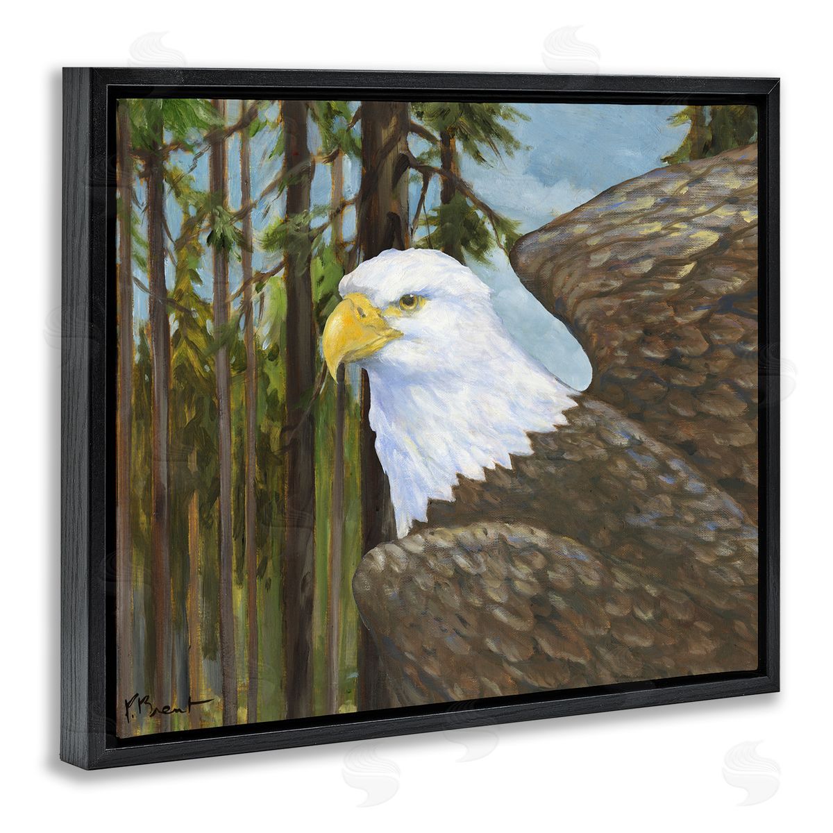 Woodland Eagle's View Black Floating Frame Canvas Wall Art, Home Decor by Paul Brent