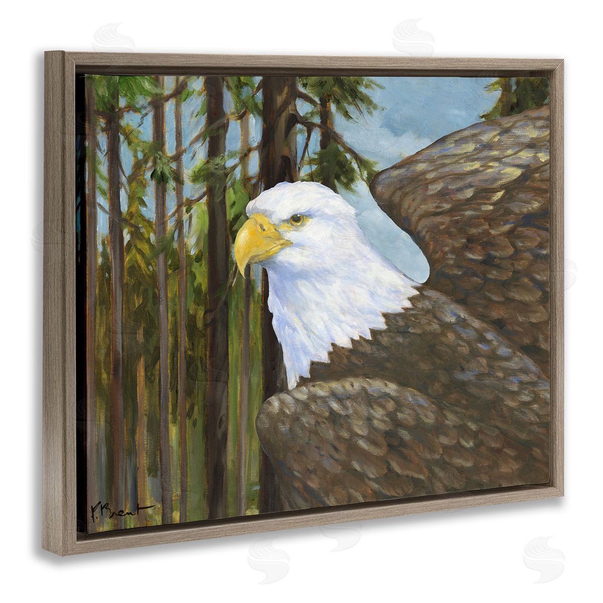 Woodland Eagle's View Brown Floating Frame Canvas Wall Art, Home Decor by Paul Brent