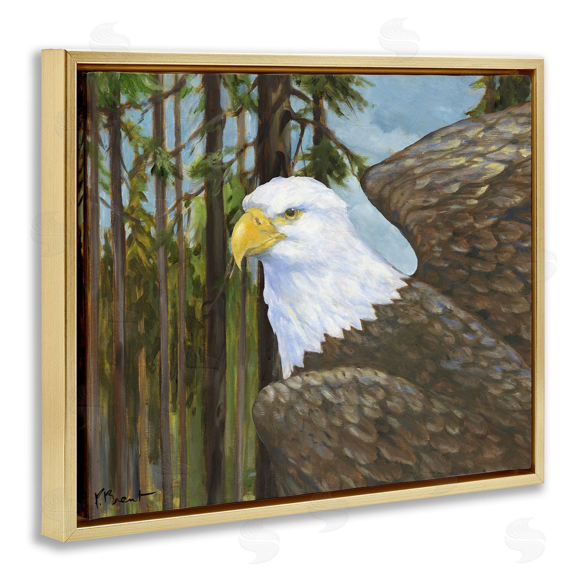 Woodland Eagle's View Gold Floating Frame Canvas Wall Art, Home Decor by Paul Brent