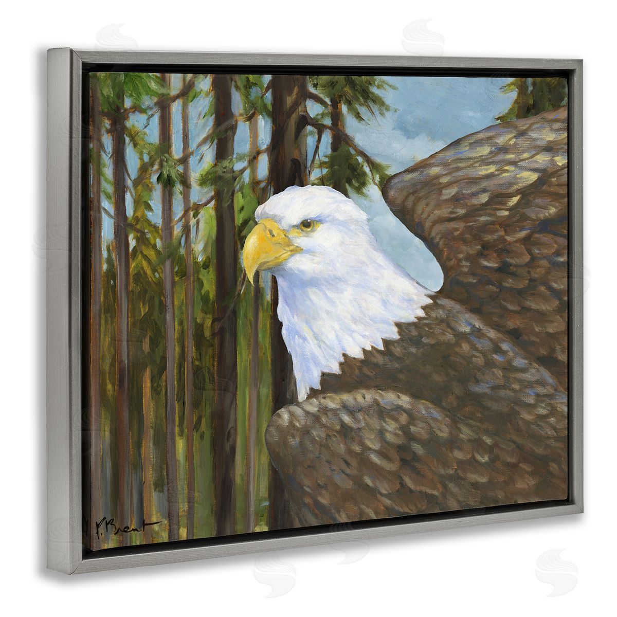 Woodland Eagle's View Grey Floating Frame Canvas Wall Art, Home Decor by Paul Brent
