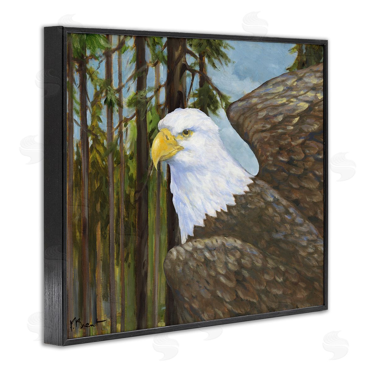 Woodland Eagle's View Black Frame Print Wall Art, Home Decor by Paul Brent