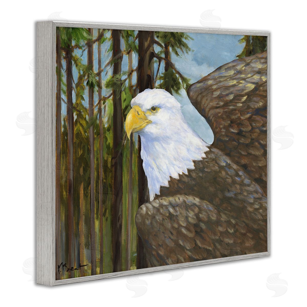 Woodland Eagle's View Grey Frame Print Wall Art, Home Decor by Paul Brent