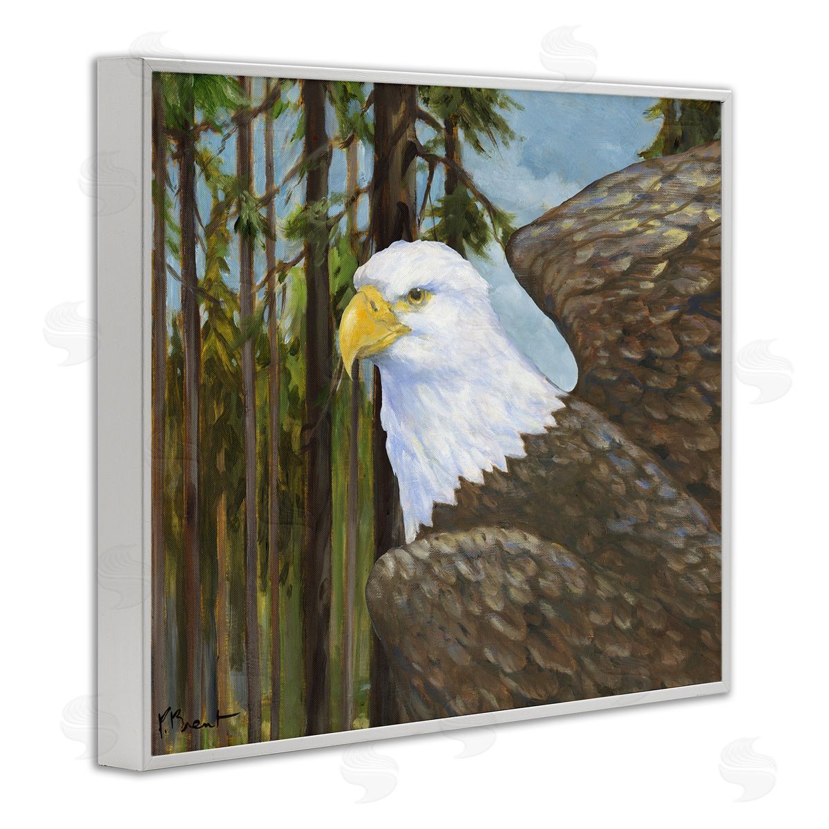 Woodland Eagle's View White Frame Print Wall Art, Home Decor by Paul Brent