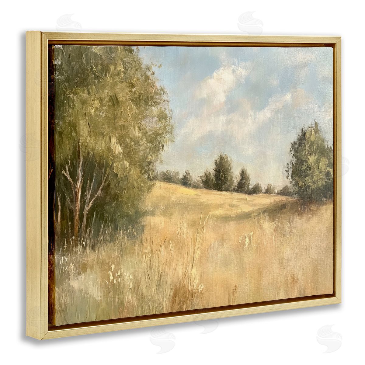Classic Country Field Gold Floating Frame Canvas Wall Art, Home Decor by Petal Prints Design