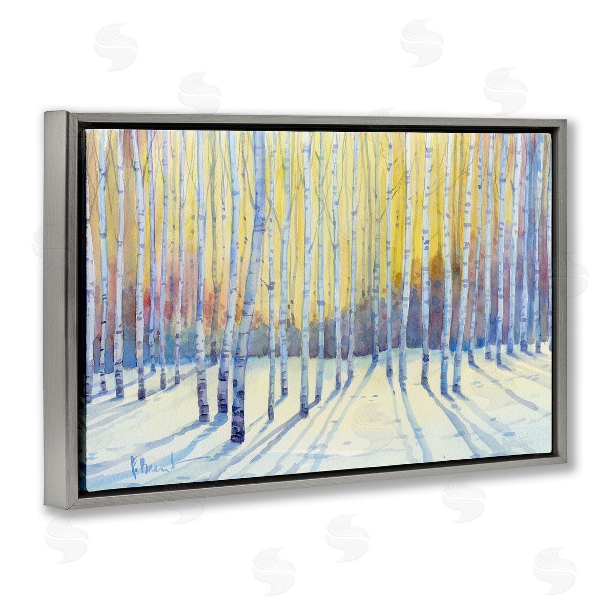Sunlit Winter Birch Trees Grey Floating Frame Canvas Wall Art, Home Decor by Paul Brent