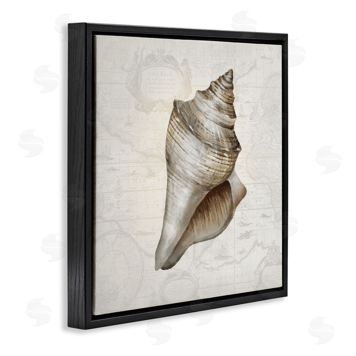 Conch Shell over Vintage Map Black Floating Frame Canvas Wall Art, Home Decor by Conrad Knutsen