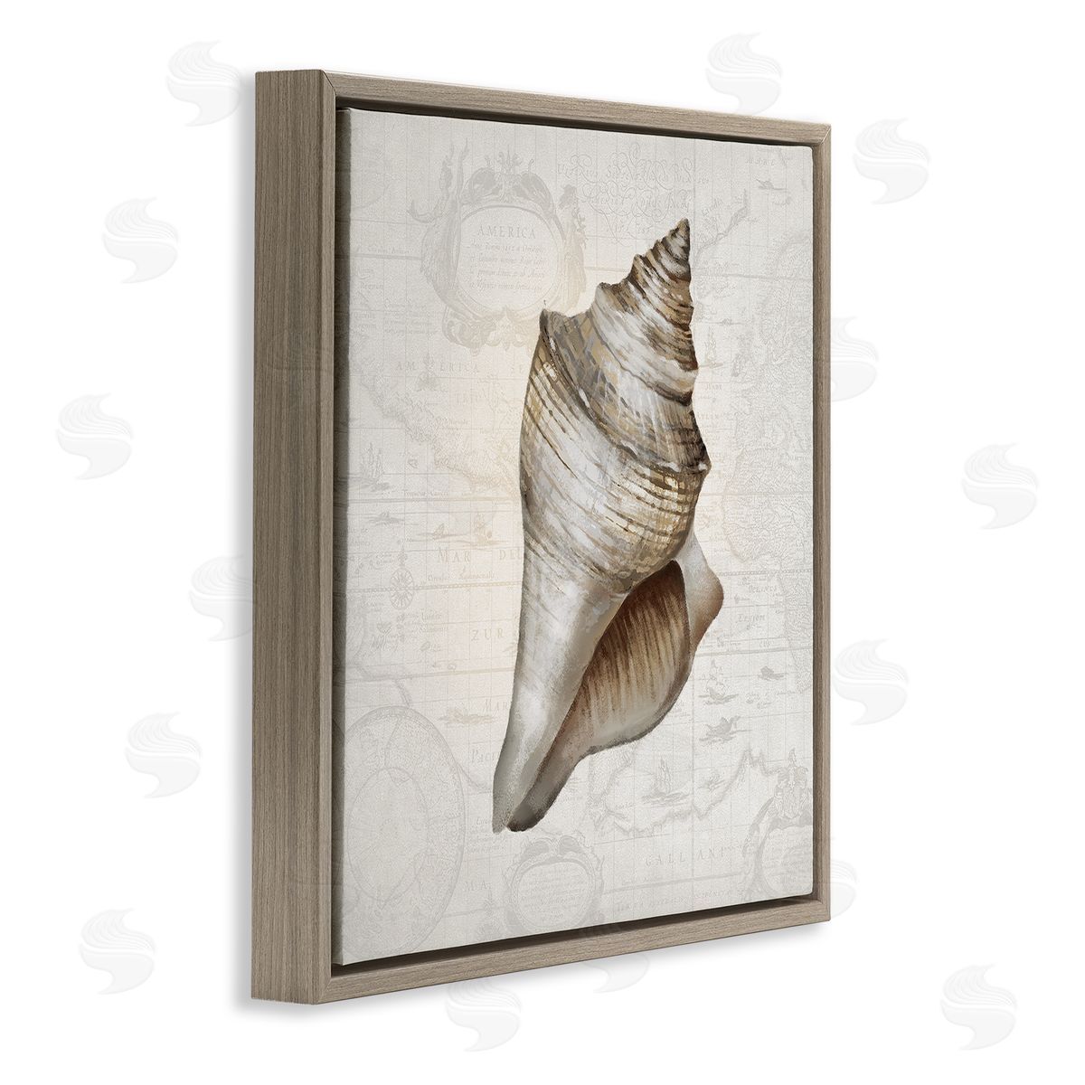 Conch Shell over Vintage Map Brown Floating Frame Canvas Wall Art, Home Decor by Conrad Knutsen